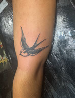 tattoo,aces,high,alex,rockoff,alexrockoff,west,palm,beach,flower,sunflower,beatle,beetle,bug,gem,floral,neotraditional,traditional,color