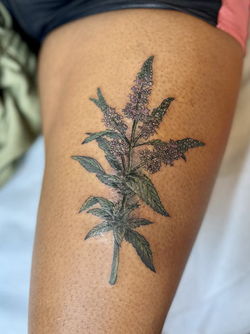 tattoo,aces,high,alex,rockoff,alexrockoff,west,palm,beach,traditional,neotraditional,beetle,beatle,flower,sunflower,floral,color